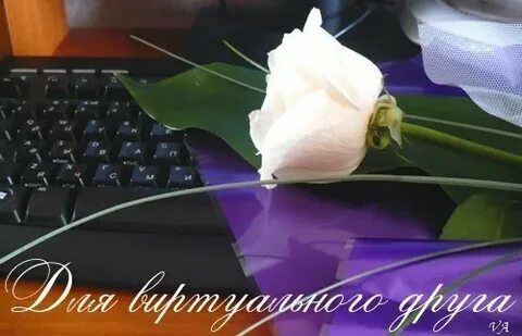 Вопросы виртуальному другу