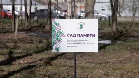 Акции саде