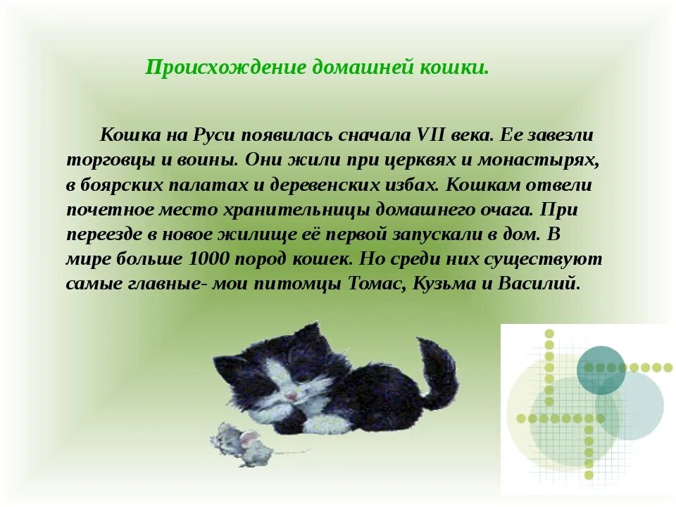 Как образовались коты