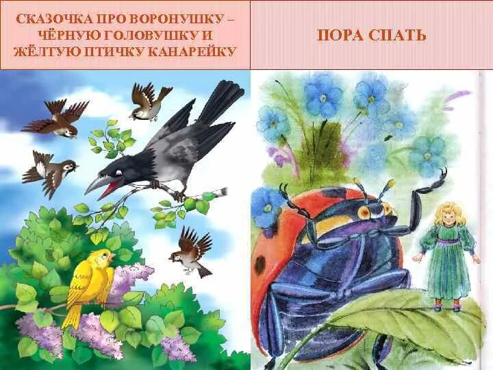 Сказки мамина сибиряка про воронушку черную головушку. Сказка про воронушку черную головушку. Про воронушку-чёрную головушку и жёлтую птичку канарейку. Сказка про воронушку черную головушку и канарейку. Ворона и канарейка мамин сибиряк.