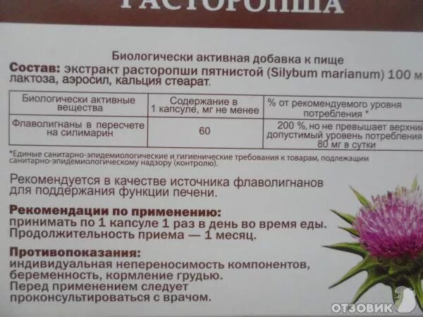 Сколько можно пить расторопшу