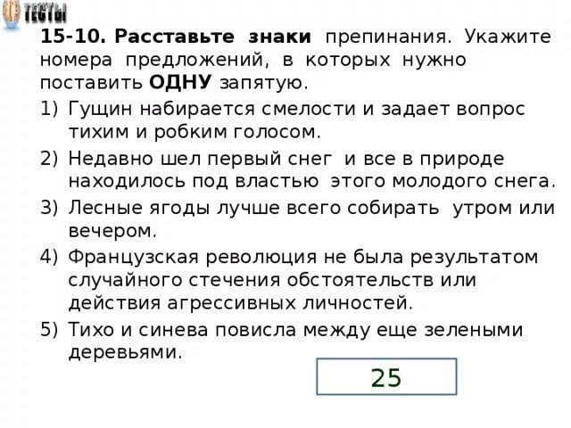 Задание 15 тест егэ русский. 16 Задание ЕГЭ. 16 Задание ЕГЭ русский язык. Задание с запятыми в ЕГЭ по русскому. Пунктуация задания ЕГЭ.