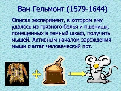 Эксперимент ван