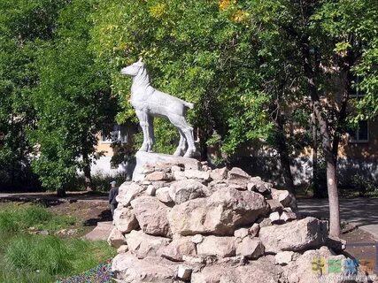 Самарская область собаки