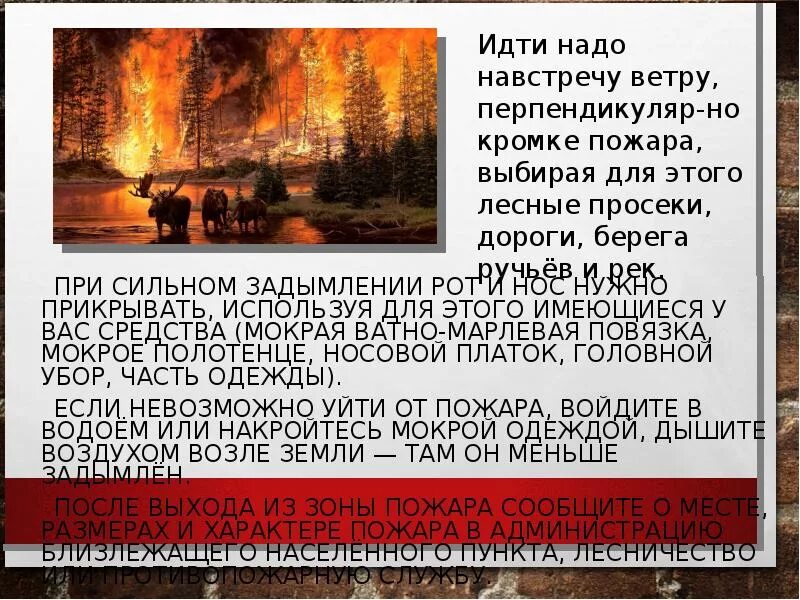 Профилактика лесных и торфяных. Предупреждение лесных и торфяных пожаров. защита населения лесных и торфяных пожаров. профилактика торфяных пожаров. профилактика лесных и торфяных пожаров защита населения сообщение.