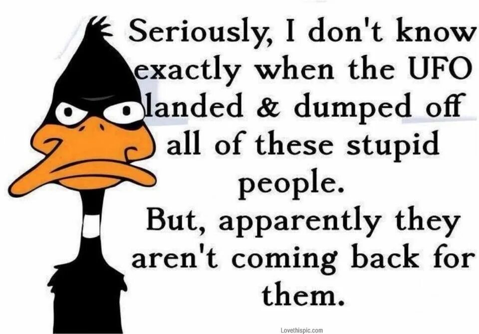 Why people die. Cartoon funny quotes. Where exactly. I know exactly where you are. Кот щурится подозрительно.