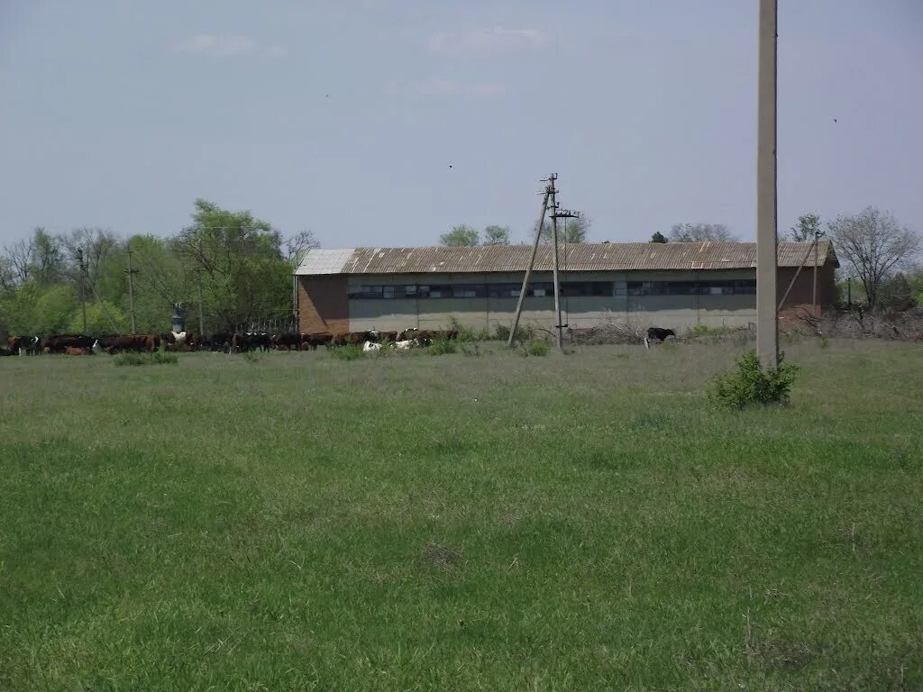 арзгир ставропольский край. достопримечательности село приютное. приютное калмыкия. запорожская область васильевский район село луговое. запорожье приютное.