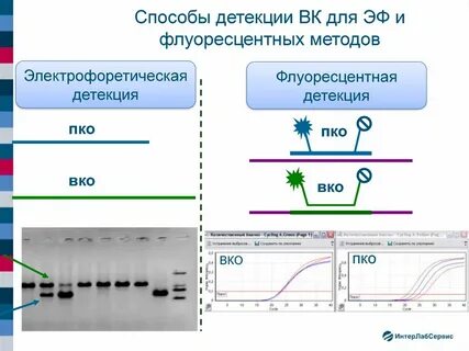 Пцр чувствительность метода