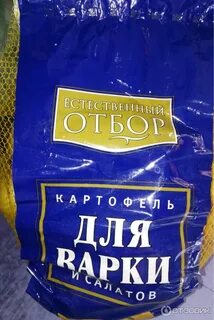 Отбор отзывы