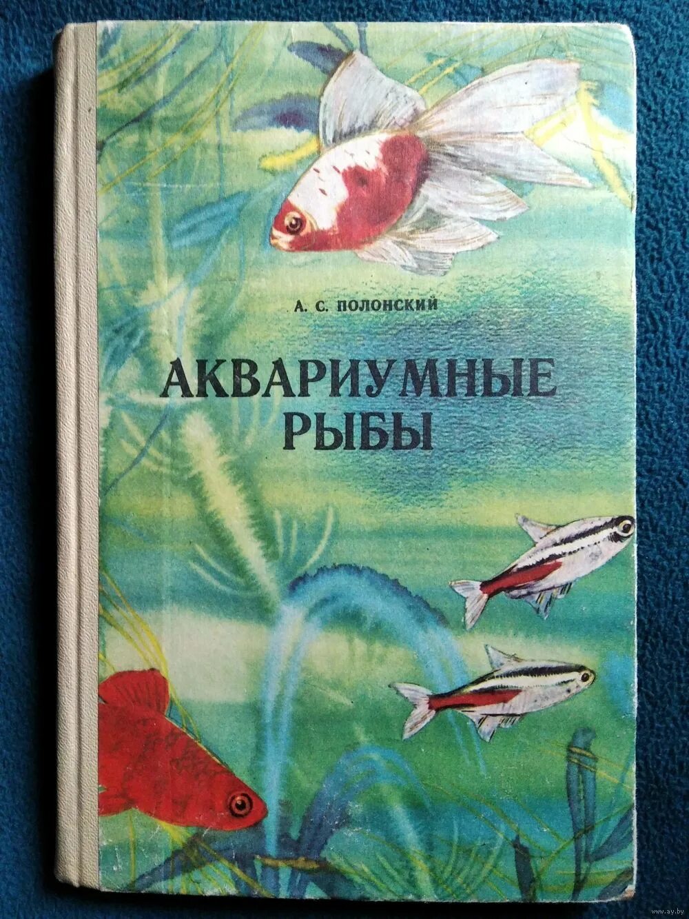 Атлас рыбы наших водоемов. Книги про рыбок. Энциклопедия пресноводных рыб. Рыба книжка. Книги про рыб.