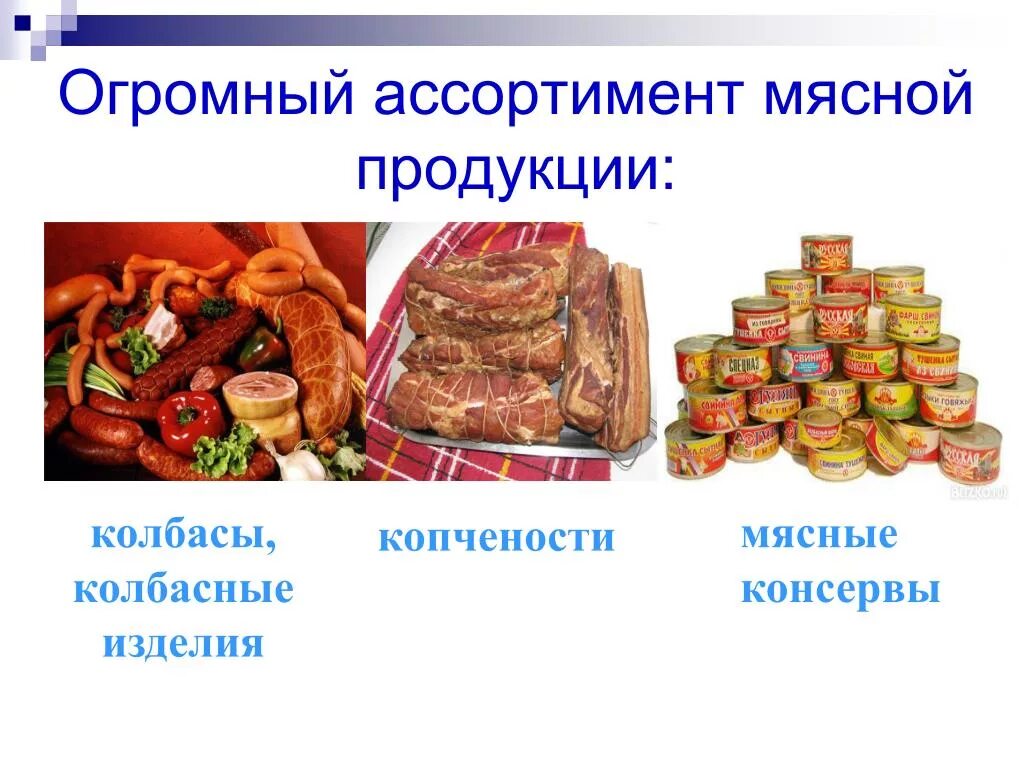 Что входит в ассортимент. Ассортимент мясных изделий. Ассортимент мясной продукции. Мясо в ассортименте. Ассортимент мяса и мясных изделий.