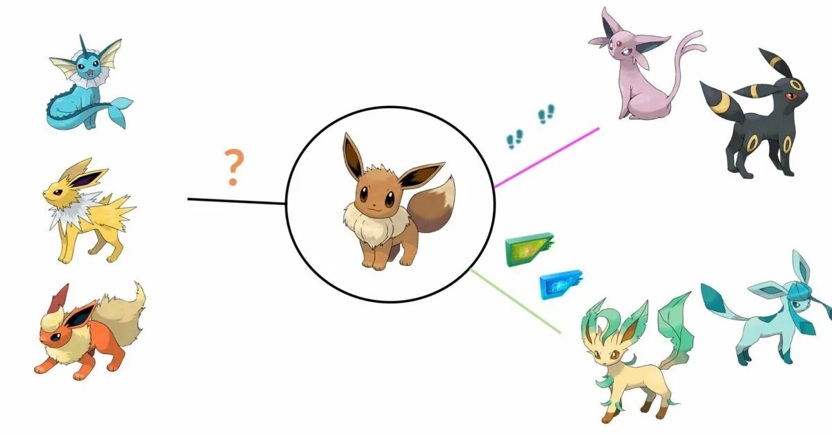Где можно покемон. Eevee pokemon стихии. валлаби покемон эволюция. шайни иви эволюции. шайни эволюция.