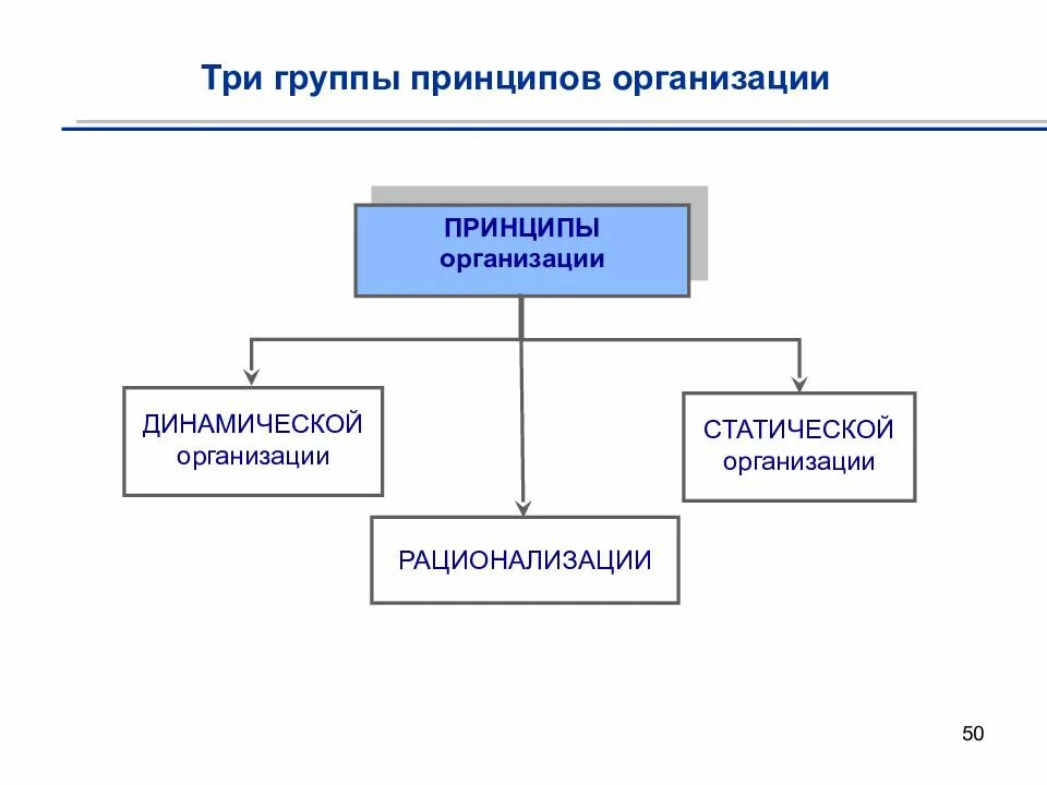 Перечислите группы принципов