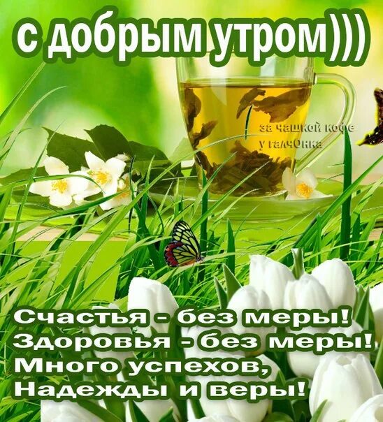 Доброе утро пятница первый день весны. Доброе утро пятницы. С добрым летним утром пятницы. Доброе летнее утро пятницы.