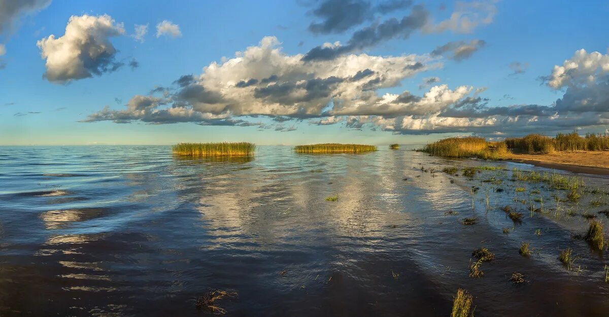 южный ладожская. юг ладожского озера. остров сухо посещение. импилахти. залив импилахти.