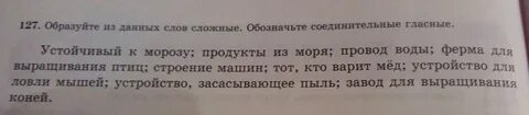 Мороз сложное слово