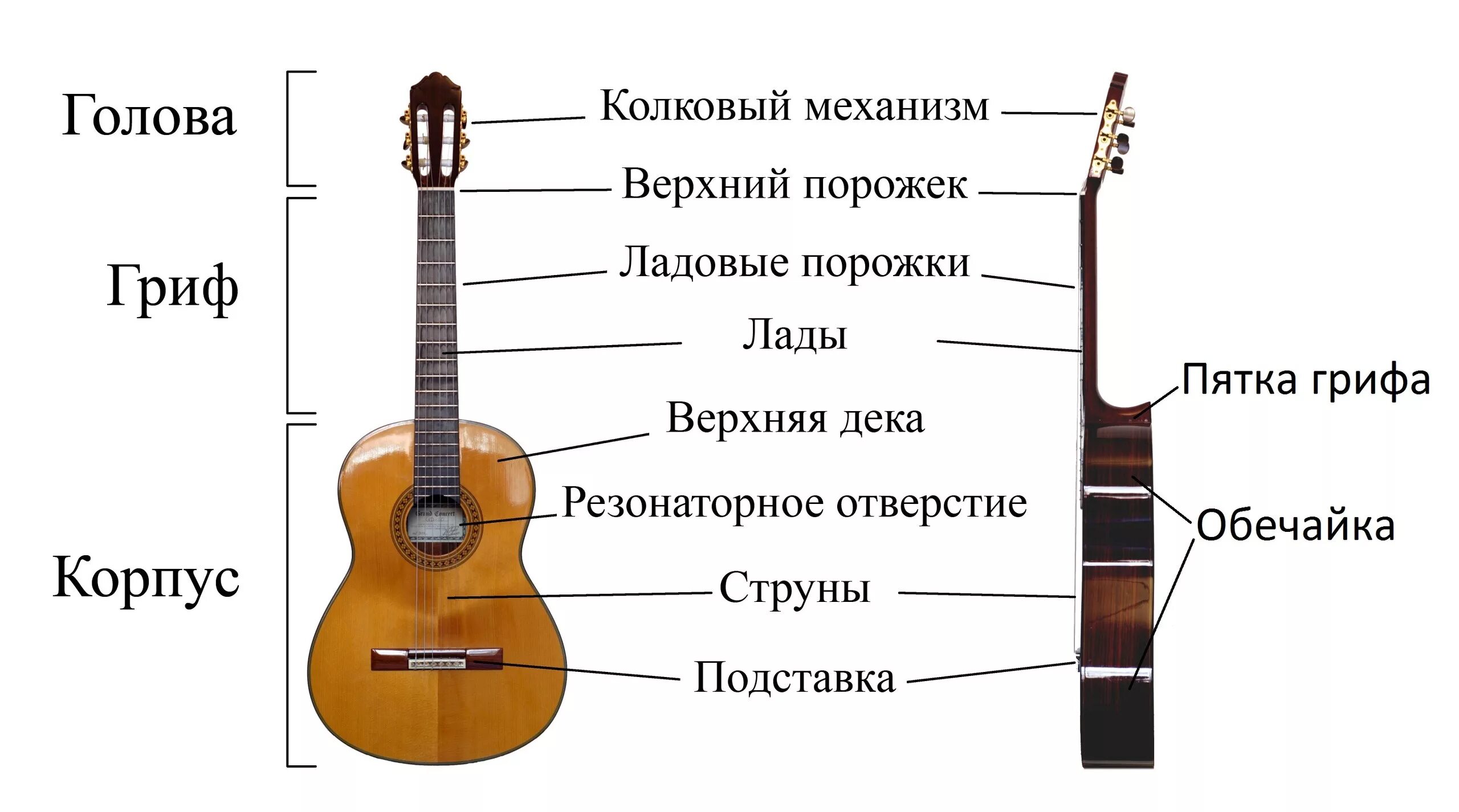 За сколько можно научиться играть на скрипке