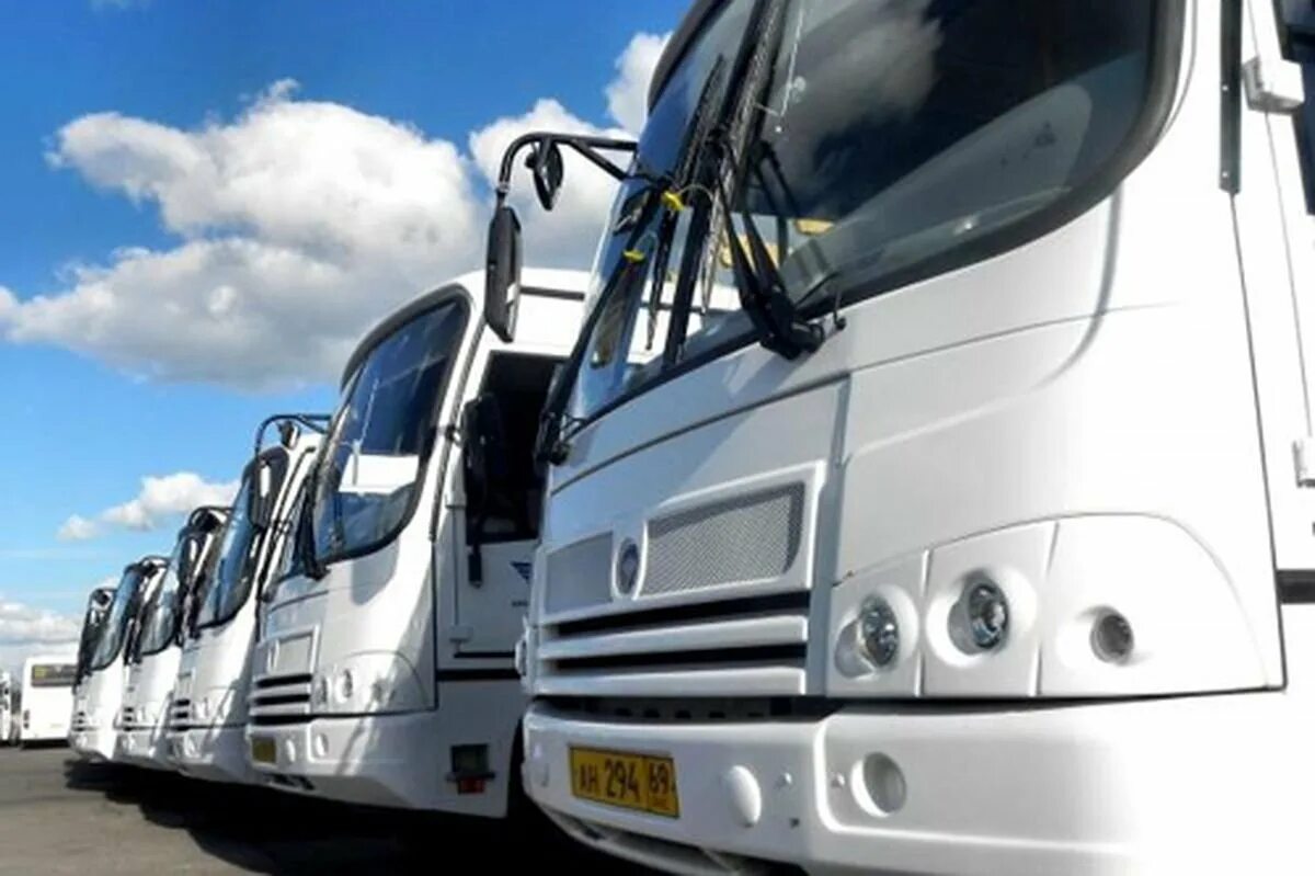 Красивый автобус. День работника автомобильного и городского транспорта. Ежедневные пассажирские перевозки. Пассажирский автотранспорт. День пассажирских перевозок.