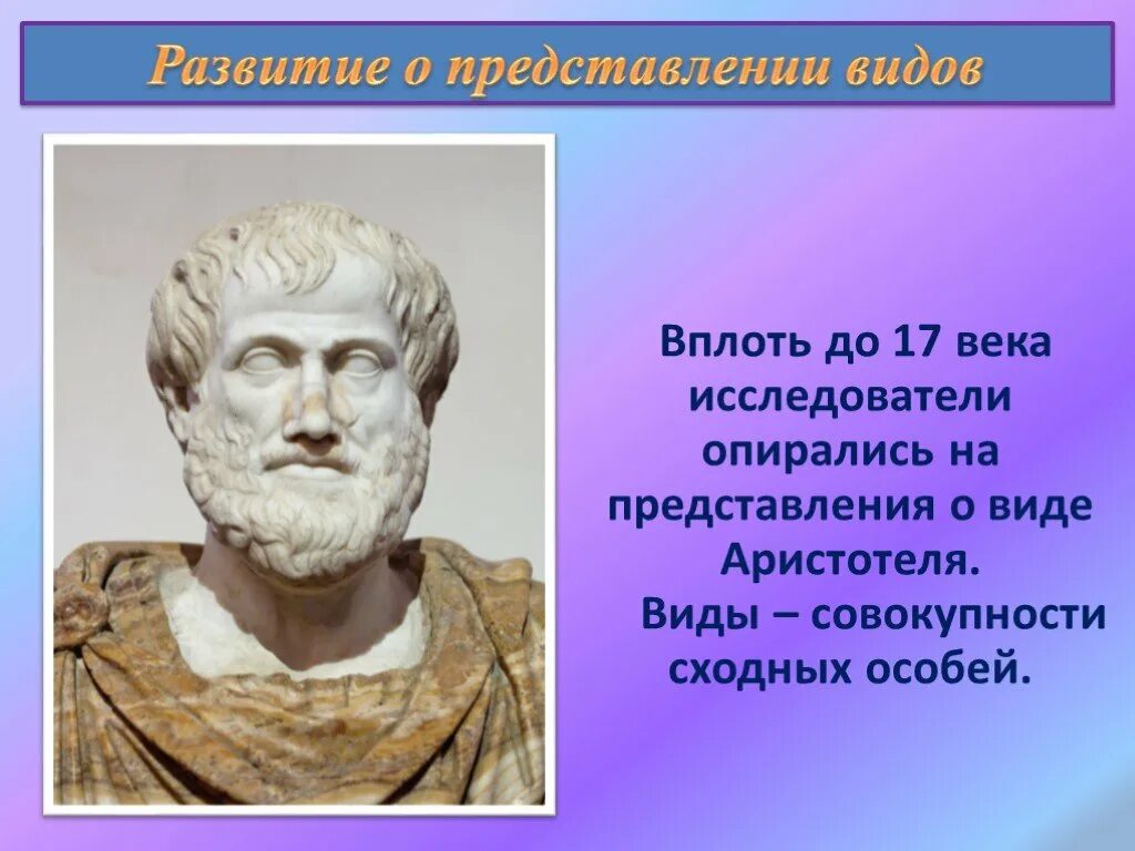 Вид вплоть. Представление о виде аристотель. развитие представлений о виде презентация. развитие представлений о виде аристотель. развитие представлений о виде биология.