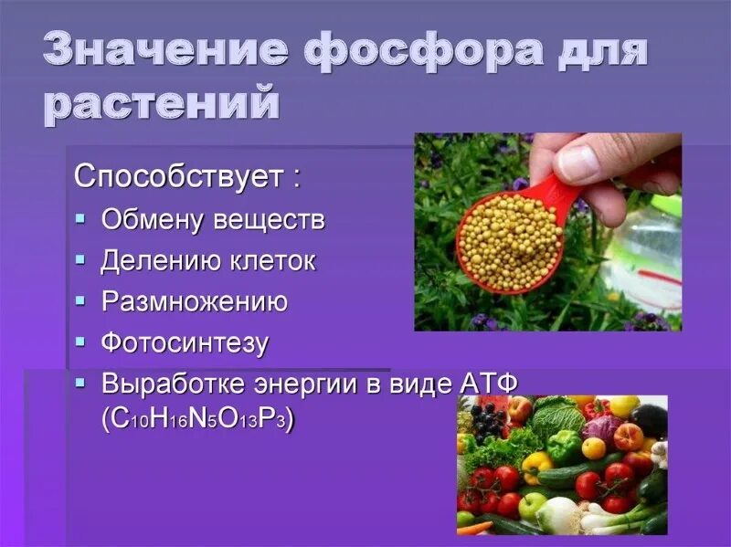 Фосфор для растений значение. Фосфор для цветов. Фосфорные удобрения виды. Фосфор в природе. Гуми-оми-фосфор суперфосфат 0,5кг/25шт порошковый.