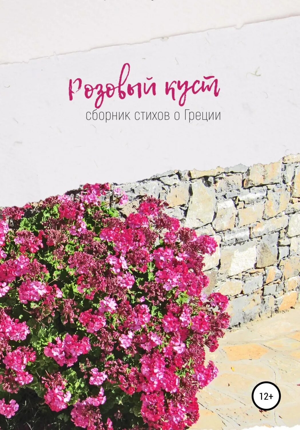 Розовый куст читать. Розовые кусты в калмыкии.