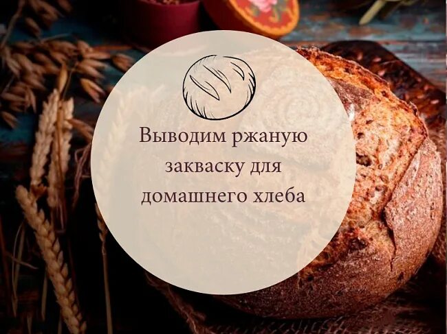 Как вывести ржаную