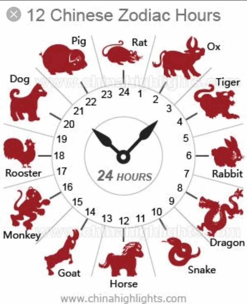 Время по петухам. Часы по китайскому календарю. Китайский гороскоп. Животные китайского календаря. Часы в китайском календаре.
