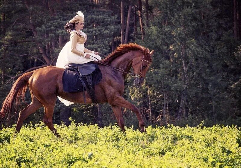 Верховая женщина. Дамская езда на лошадях. Женское седло. Езда на лошади по женски. Бабы в седлах.