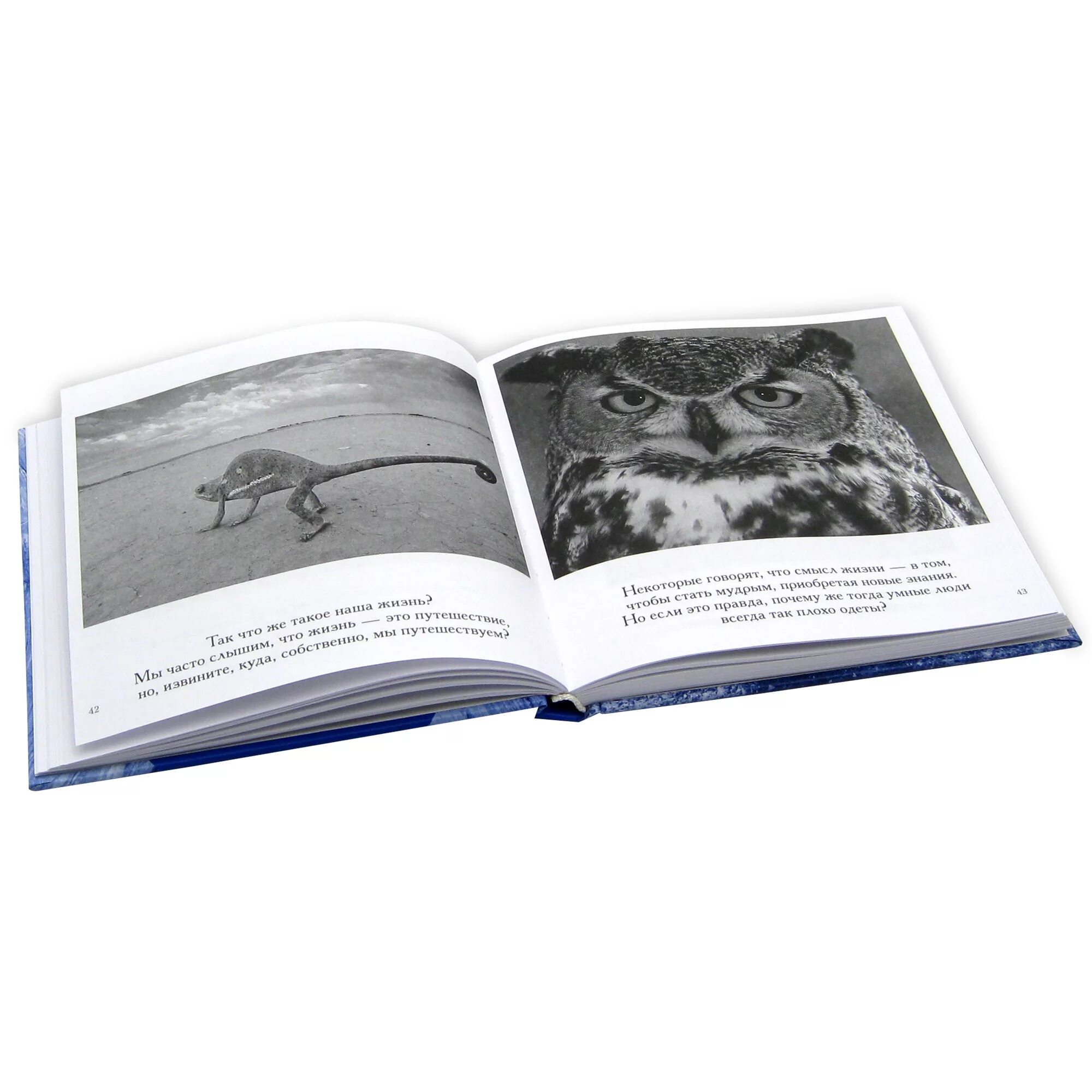 Мудрые книги о жизни. Интересные фразы из книг. Книга жизни. Популярные цитаты из книг. Книга мудрости.