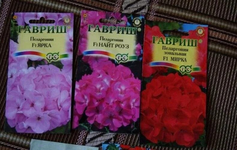 Семена Агрофирма ПОИСК Пеларгония зональная Колорама - "Яркие расцветки, неприхо