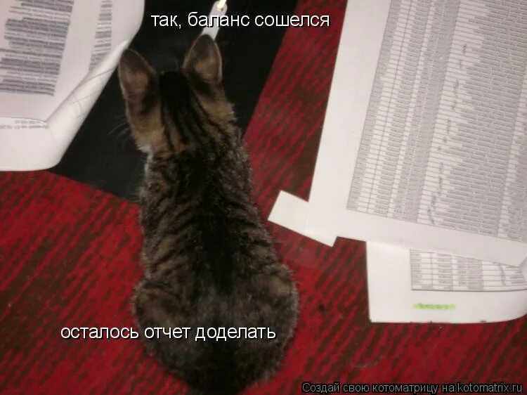 Отчет карикатура. Сдали баланс. Штраф бухгалтеру. Сдача баланса. Сдать вперед.