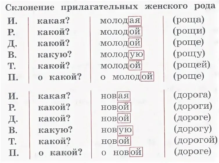 Имена прилагательные склоняются или изменяются. Склонение прилагательных женского рода 4 класс. Прилагательные женского рода 4 класс. Склонение прилагательных женского рода 4 класс задания. Прилагательные женского рода 4 класс карточки.