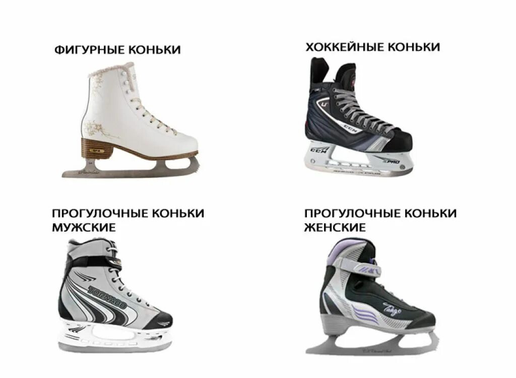 Хоккейные коньки и фигурные разница. Хоккейные и фигурные коньки отличия. Хоккейные коньки отличаются от фигурных. Отличие фигурных коньков от хоккейных