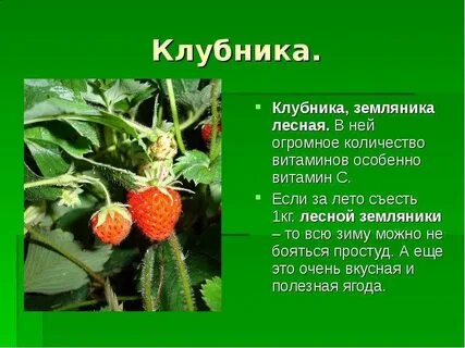 Культурное растение 3 класс окружающий мир сообщение