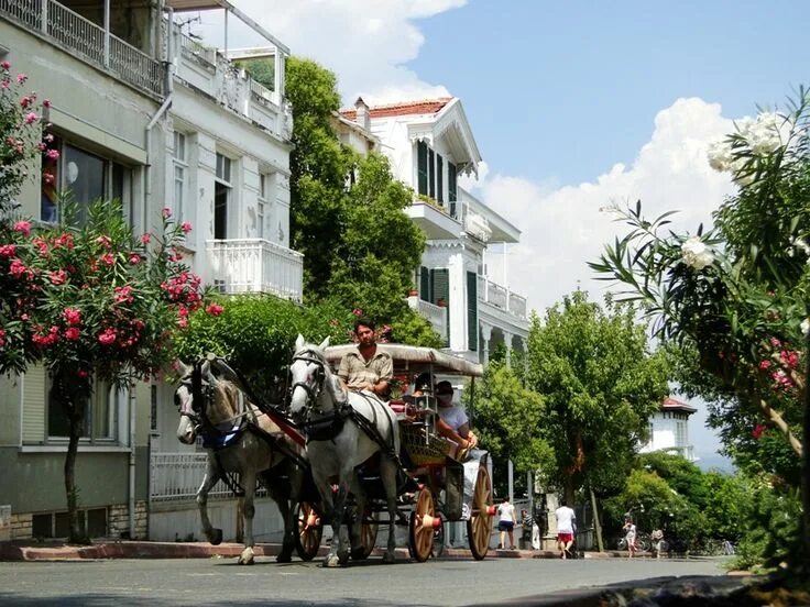buyukada Istanbul, Fotoğraf, Tatil yerleri
