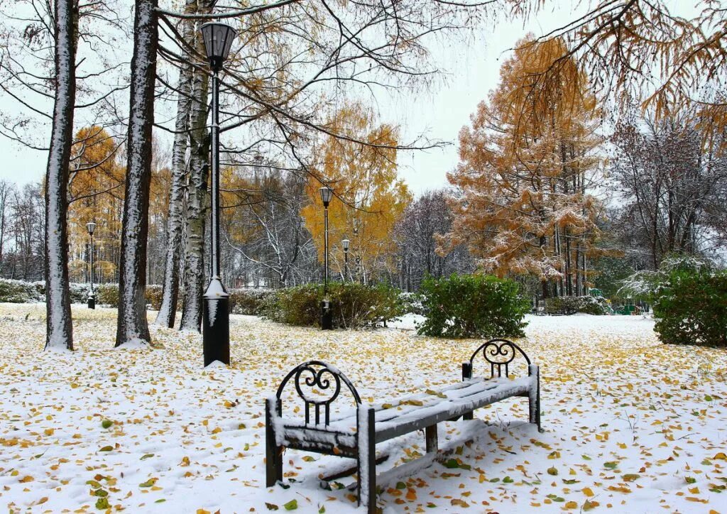 Ранняя зима. Парки зимой. Ноябрь природа. Зима в парке. С зимой с первым снегом