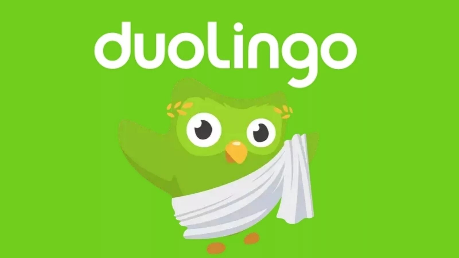 Дуолинго. Duolingo. Сова дуолинго. Дуолинго. Обои дуолинго.
