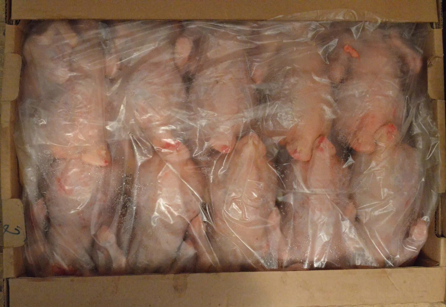 Замороженная курица. Тушка куриная. Упаковка мяса птицы. Упаковка тушек птицы. Мясо птицы замороженное