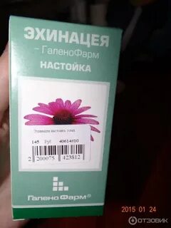 Эхинацея настойка для иммунитета отзывы