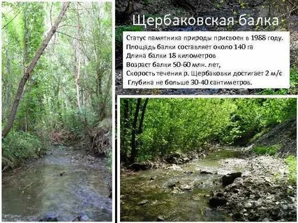 Территория балка