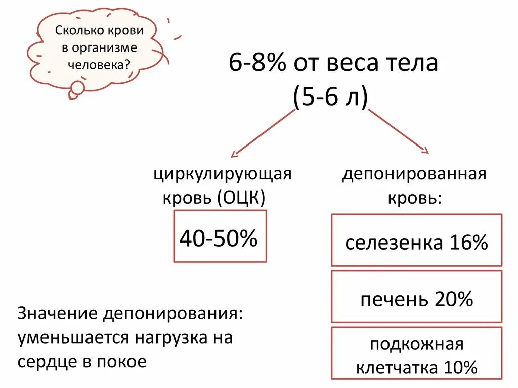 Депо крови в организме. Распределение крови в организме человека. Сколькоткрови в организме. Сколько крови в организме человека. Количество крови в теле человека.