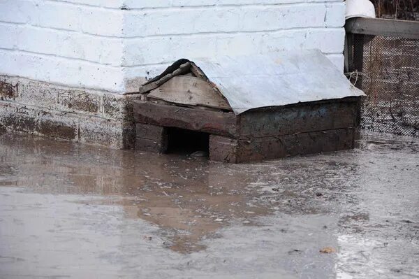 Корсаково хабаровск. Река адыча. Наводнение в хомутово иркутск. Почему всех топит. Затопление квартиры.