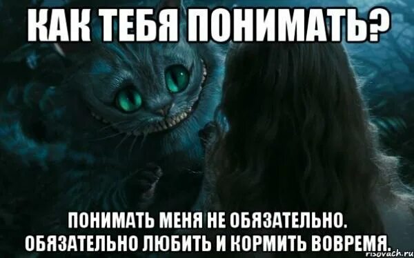 Как ни понять главного. Понимать меня не обязательно обязательно любить и кормить вовремя. Меня не надо понимать меня надо любить и кормить вовремя. Чеширский кот меня не надо понимать. Чеширский кот понимать меня не обязательно.