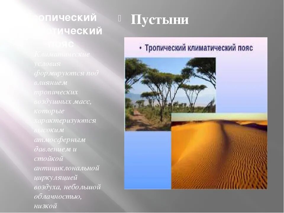 Тропический пояс 6 класс география. Тропический климатический пояс. Климат тропического пояса. Сообщение о тропическом климате. Тропические пустыни климатический пояс.