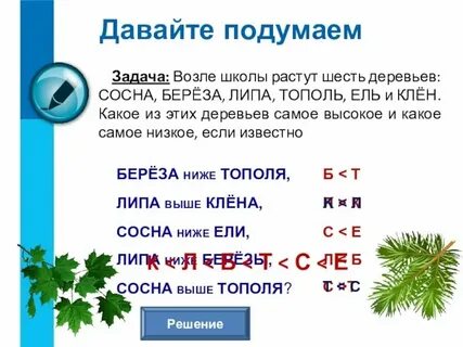 Около школы растут березы