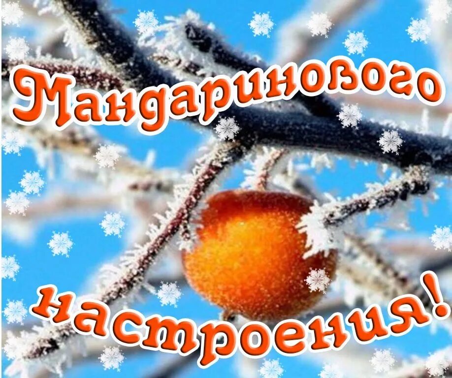 Доброй зимней субботы и хорошего настроения. Солнечного зимнего настроения. хорошего нлчбрьсуого дня и отличного настроения. доброго ноябрьского дня и хорошего настроения. хорошего ноябрьского дня и отличного настроения.