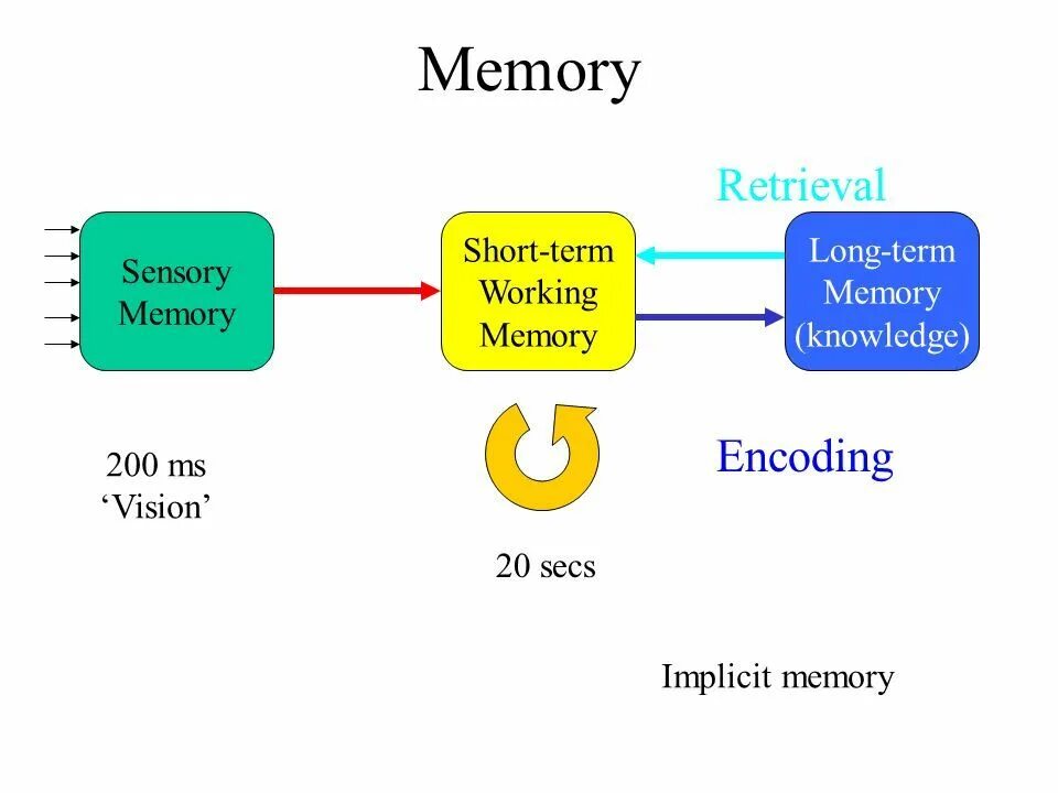 Memory mem. Long term memory working memory. long short term memory. short term memory. long-term and short-term memory.
