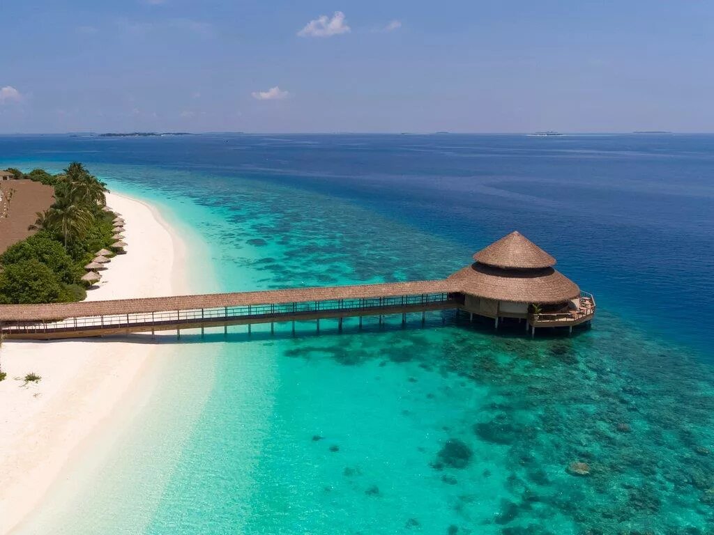 Мальдивы отель reethi faru. Отель reethi faru resort 5*. Отель reethi faru. Мальдивы атолл домики. Raa atoll мальдивы.
