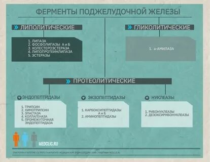 Основное звено острого панкреатита