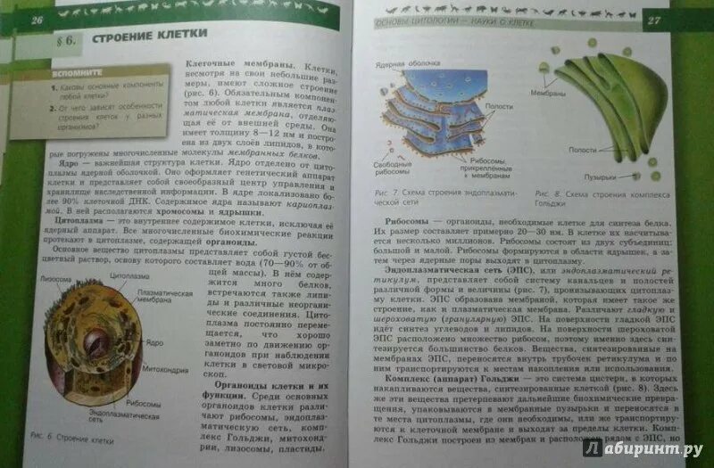 Учебник стр 8. Биология 5 класс Пасечник параграф 1. Биология 9 класс Пасечник параграф 5.5. Биология 9 кл Пасечник учебник. Биология параграф 1 Пасечник 9 класс.